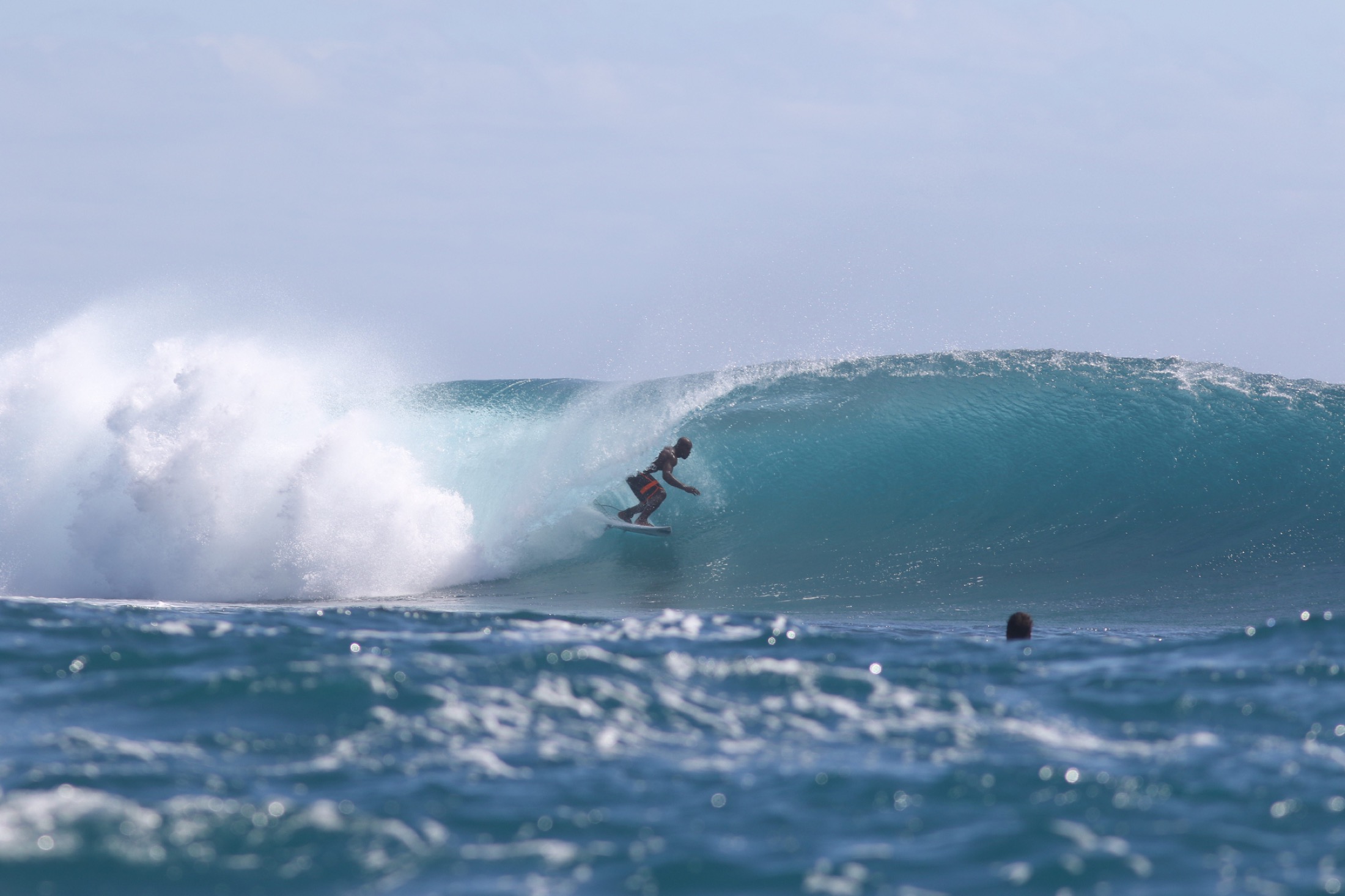 Inia surfing a clean Fiji reef break from the water
